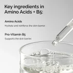 The Ordinary Amino Acids + B5 - Image 4