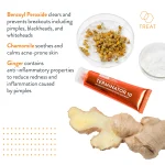 AcneFree Terminator 10 - Image 4